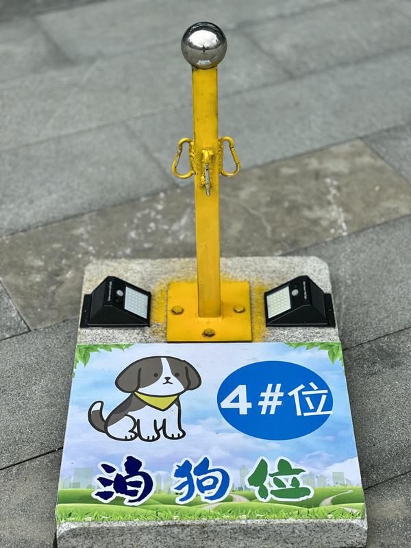 施行一周上海升级版游园带来哪些“乐与痛”？不朽情缘登录入口事关搭帐篷、带宠物……新规(图3)