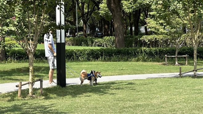 施行一周上海升级版游园带来哪些“乐与痛”？不朽情缘登录入口事关搭帐篷、带宠物……新规(图9)